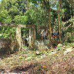 Pueblo nuevo, Limón centro.