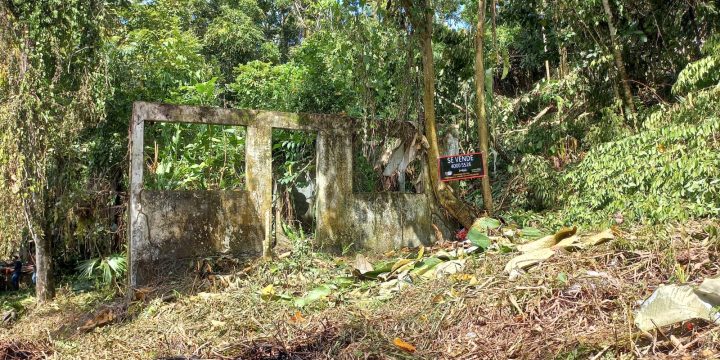Pueblo nuevo, Limón centro.